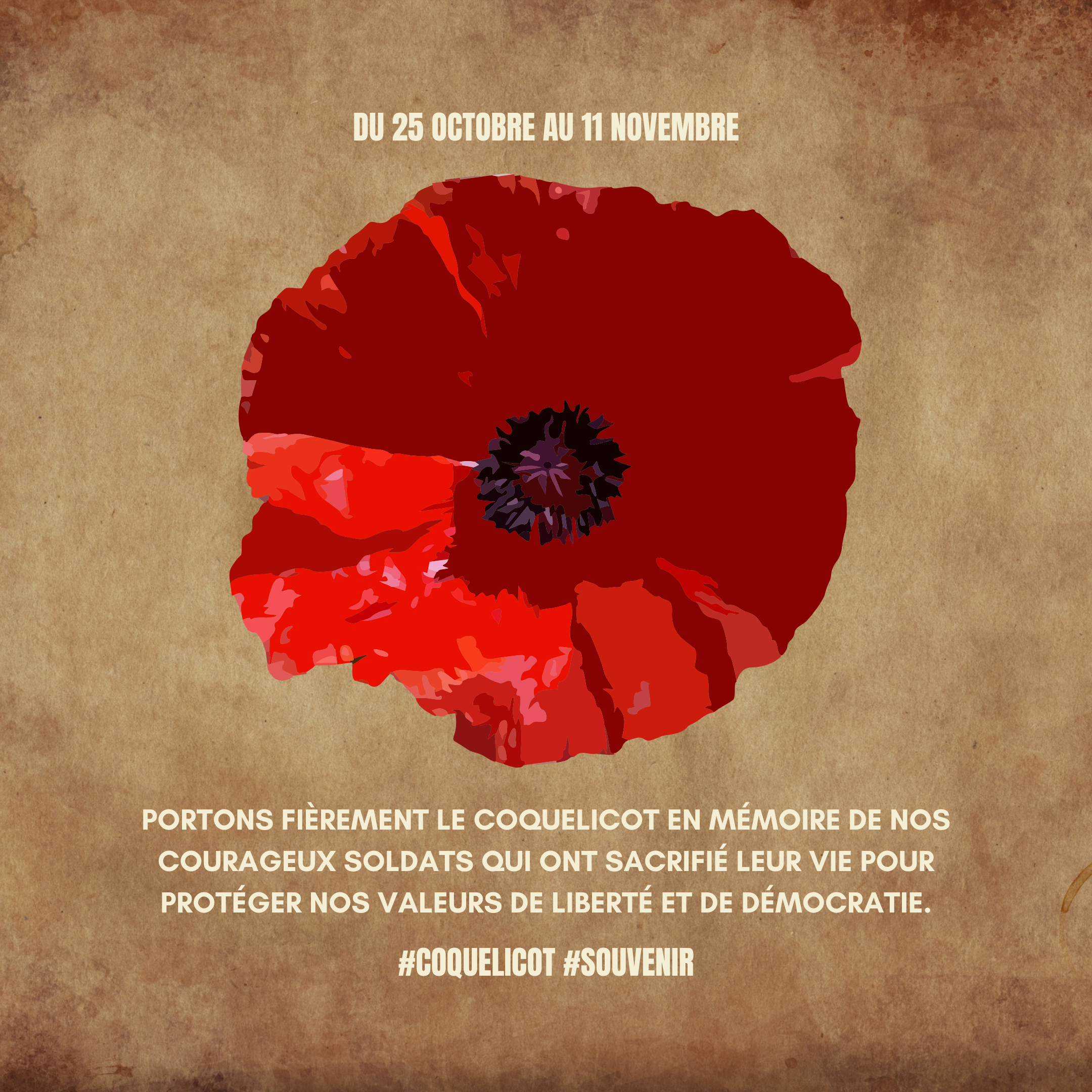 Première journée du port du coquelicot