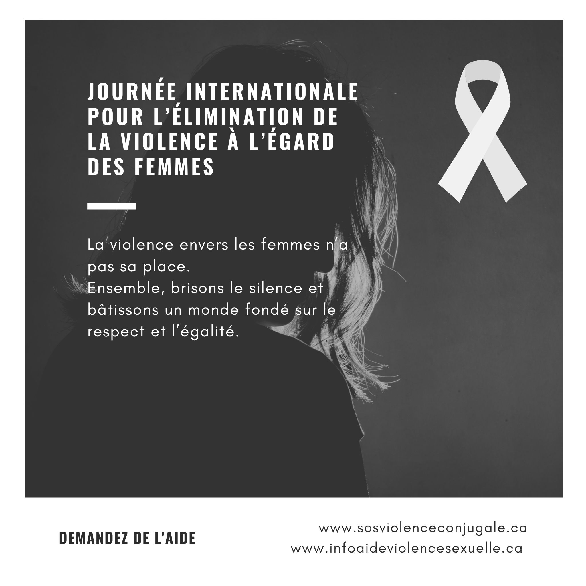 Journée internationale pour l’élimination de la violence à l’égard des femmes