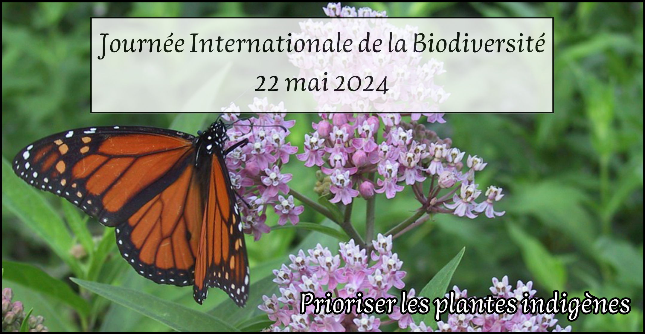 International Day for Biological Diversity

